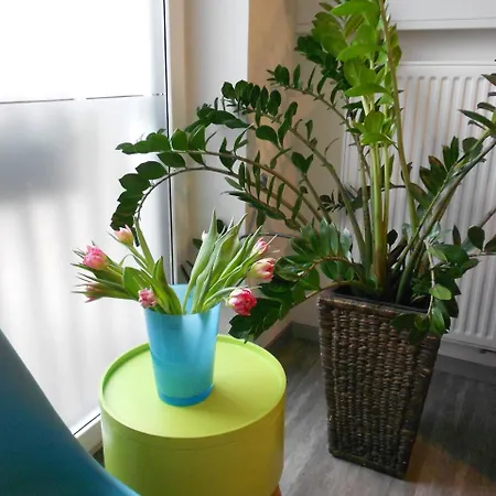 M24 - Alle Mit Kuechenzeile Hotel 3*